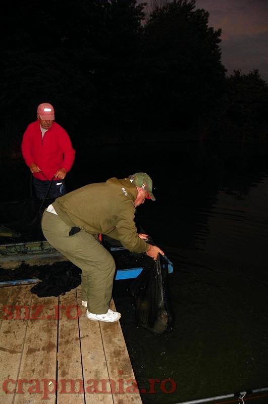 Tancabesti 2013 - 1010336-1.jpg